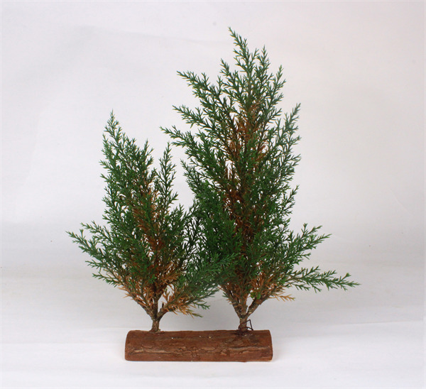 Pine Tree with Wood Base